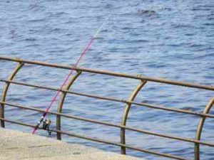 ちょい投げの竿の選び方とおすすめ