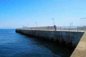 ジギングサビキの仕掛けと釣り方【堤防】