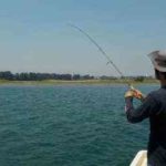 ボートエギングでのキャスティング仕掛けと釣り方