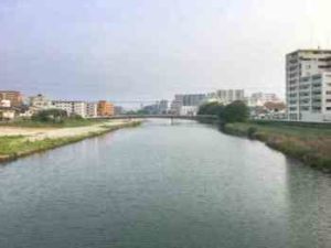 シーバスの河川でのルアーによる釣り方とタックル