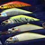 シーバス釣りの仕掛けと釣り方【初心者必見】