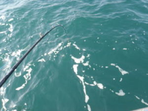 タチウオのテンヤロッドのおすすめと人気【船】