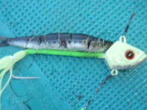 タチウオのテンヤを改造する