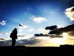 タチウオのショアジギングロッドの選び方とおすすめ