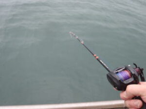 タコスッテの選び方とおすすめ