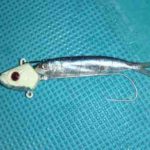 タチウオのドラゴンの釣り方とサイズ