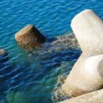 カサゴの穴釣りのワーム仕掛けと釣り方【浅場】