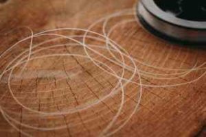 シーバスのリーダーの太さ・長さと結び方