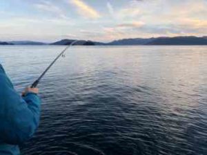 キジハタのルアー仕掛けと釣り方【ジギング】