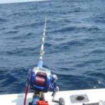 オニカサゴ釣りの天秤仕掛けと釣り方【船】