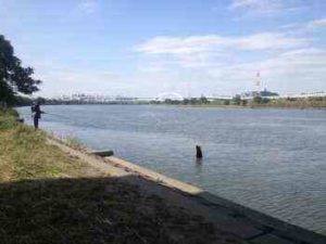 チニングの時期（シーズン）