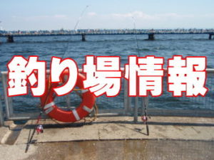 岡山県の釣り場情報(田井新港・大畠釣り公園)