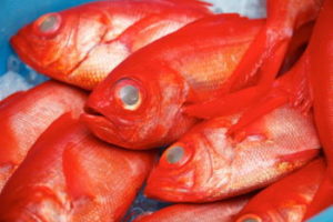 ライトキンメの仕掛け(タックル)と釣り方