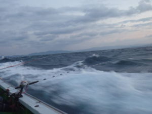 アジ五目釣りの仕掛けと釣り方