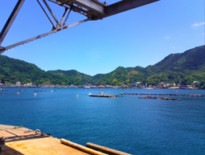 デビルパラシュートの使い方！根掛かりは？【タコ釣り】