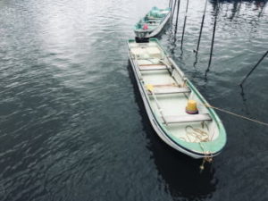 ボートハゼ釣りの仕掛けと釣り方