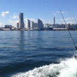 イイダコ釣り!東京湾での仕掛けと釣り方