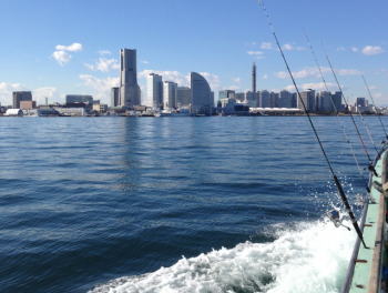 イイダコ釣り 東京湾での仕掛けと釣り方