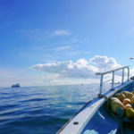 【金洲】カツオの仕掛けと釣り方!キメジも狙える