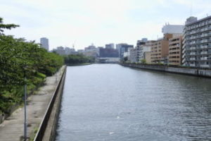 チヌをのべ竿で狙う!仕掛けと釣り方は?