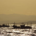 ヤリイカ釣りのブランコ仕掛けと釣り方【船】