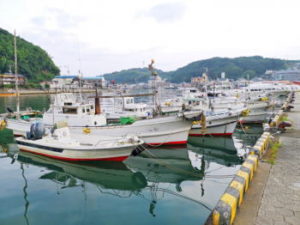 ヤリイカの直結仕掛けと釣り方