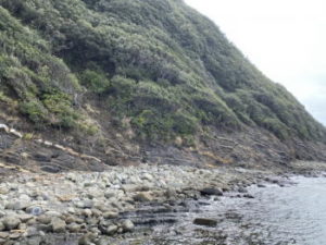 【ムラソイ釣り】ゴロタ浜でのルアー釣り仕掛けと釣り方
