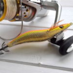 ティップランで釣れない理由とは?釣り方に問題がある?【エギング】