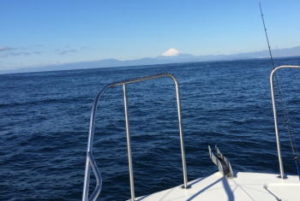 ティップランのお助けリグとは?乗りが悪い時に有効!