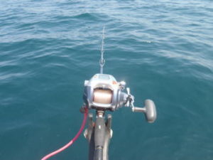 ヒラメの落とし込み釣り仕掛けと釣り方【船】