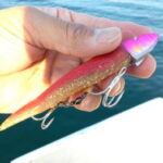 ヒラメ釣りのルアータックルと釣り方・アクション【船】