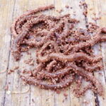 キス釣りのエサの種類と付け方!保存方法は?
