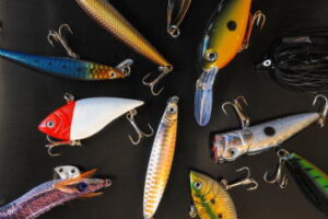 ボートメバリングのタックルと釣り方【プラッキング】