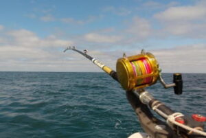 アブラボウズ釣りの時期とは?旬は?