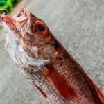 アカムツジギングのタックルと釣り方