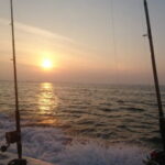 アナゴ釣りの仕掛けと釣り方【東京湾の船】