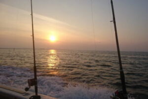 アナゴ釣りの仕掛けと釣り方【東京湾の船】