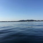 メバルの胴付き仕掛けと釣り方【船】