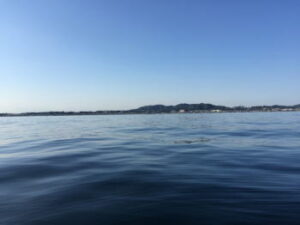 メバルの胴付き仕掛けと釣り方【船】