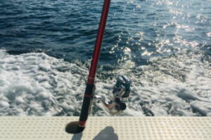 バチコンでメバルを狙う！仕掛けと釣り方は？