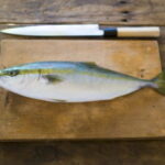 魚の持ち帰り方法と保存方法(冷蔵・冷凍)