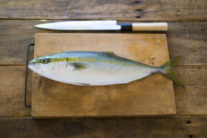 魚の持ち帰り方法と保存方法(冷蔵・冷凍)