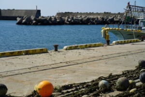 タコ釣りのポイント！漁港ではどこを狙えばよい？