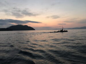 ボートアジングの仕掛けと釣り方