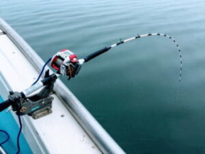 イシモチ釣りの仕掛けと釣り方・エサ【東京湾での船】