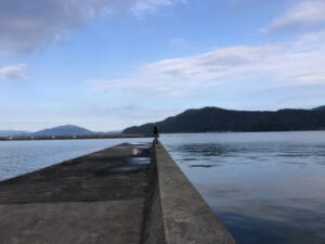 コウイカ釣り場~岡山・福岡・愛媛