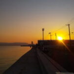 スナダコ釣りの仕掛けと釣り方！時期は？