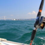 チダイの釣り方!胴付き仕掛けで狙う