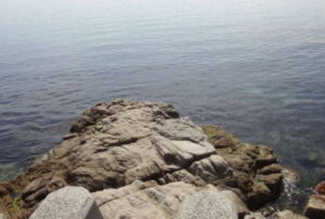 小磯でのウミタナゴ釣り！のべ竿での釣り方は？