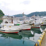 マルイカ釣りの仕掛けと釣り方【初心者必見】